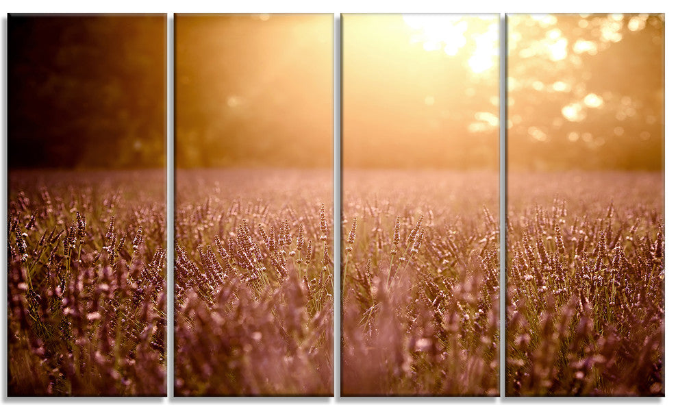 Brown Tinged Lavender Field Sunset, Floral Canvas Art Print, 48"x28", 4 Panels