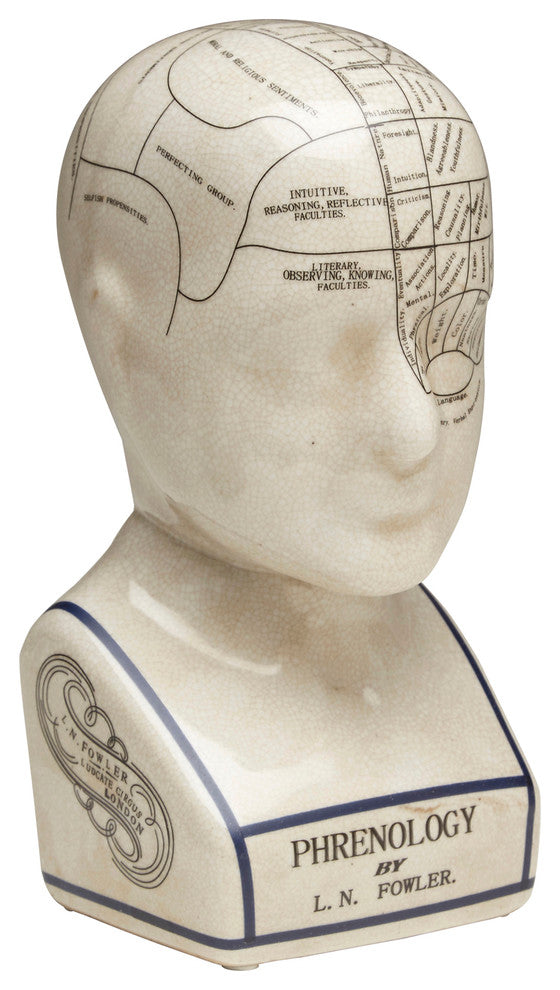 Small Phrenology Head