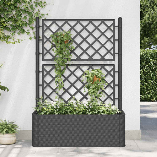 vidaXL Garden Raised Bed with Trellis, Self Watering Planter, Anthracite, PP