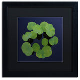 'Giant Lily Pad Abstract' Matted Framed Canvas Art by Kurt Shaffer