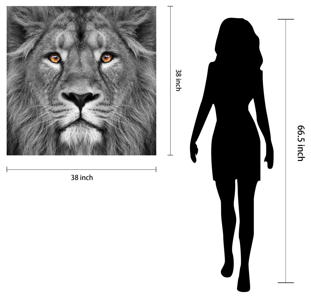"King of the Jungle" Lion Wall Art Unframed Free Floating Tempered Glass 38 x 38