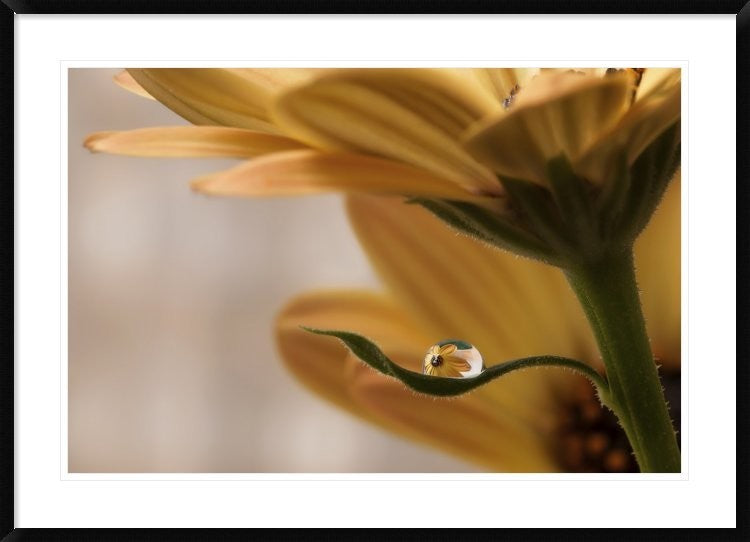 "Protected" Framed Digital Print by Heidi Westum, 44x32"