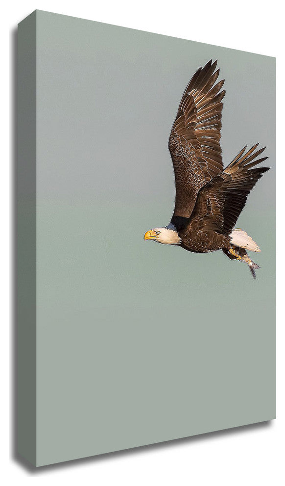 In the Sky 3 by Design Fabrikken, Print on Canvas, 30"x42"