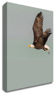 In the Sky 3 by Design Fabrikken, Print on Canvas, 30"x42"