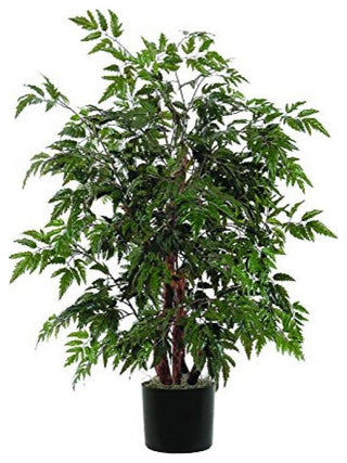 Vickerman 4' Ming Aralia Bush, Rattan Basket