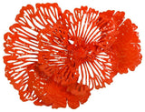 Flower Wall Art, Coral, Small