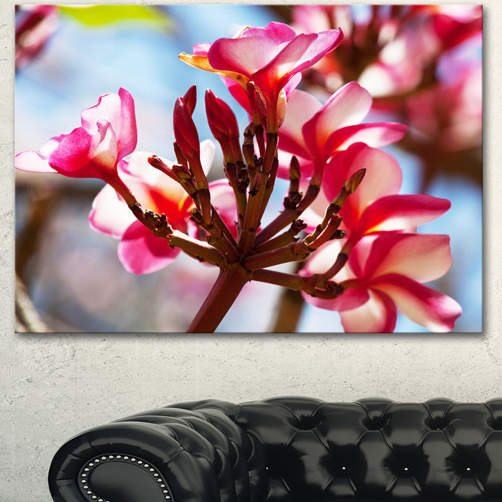 Bunch of Beautiful Tropical Flowers, Floral Canvas Art print, 40"x30"
