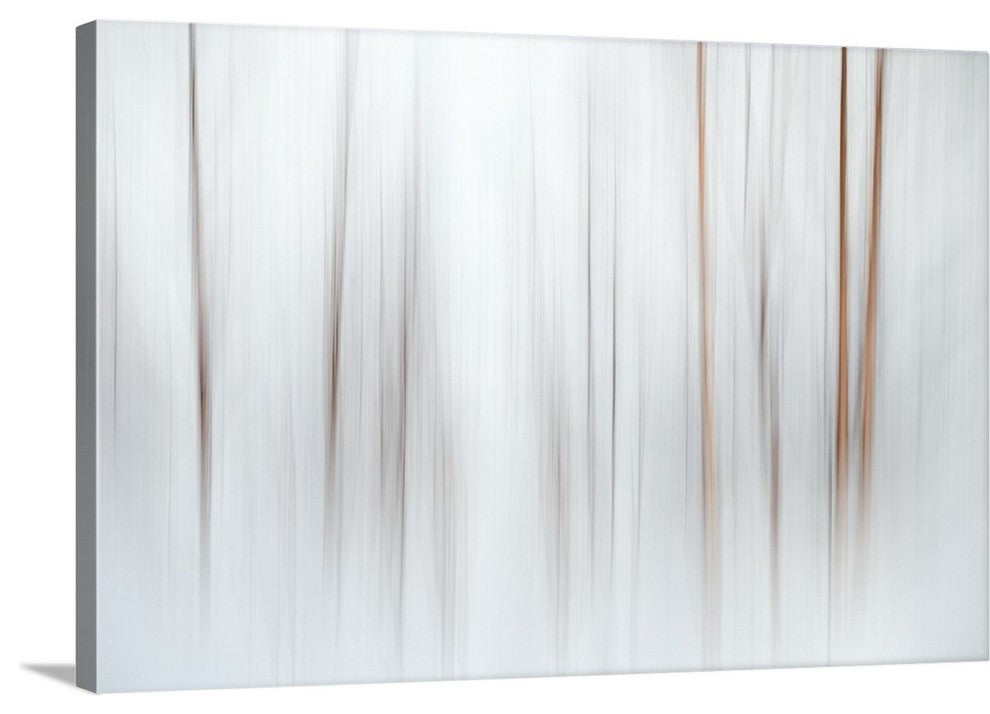"Fog" Wrapped Canvas Art Print, 36"x24"x1.5"