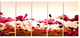 Cosmos Flowers on Pink Background, Floral Canvas Art Print, 60"x28", 5 Panels