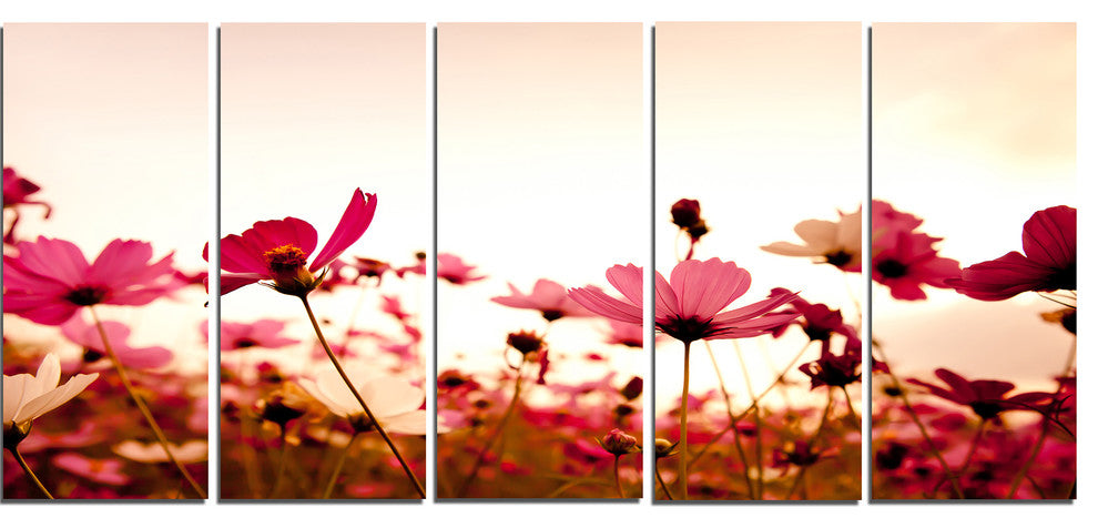 Cosmos Flowers on Pink Background, Floral Canvas Art Print, 60"x28", 5 Panels
