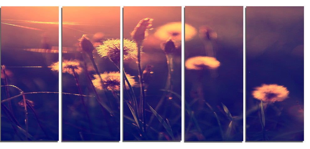 Vintage Photo Of Dandelion Garden, Large Floral Canvas Print, 60"x28", 5 Panels