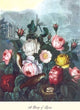 Roses - Temple of Flora - Gallery Wrapped Canvas Art 28" x 42"