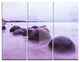 "Moeraki Boulders New Zealand" Photo Metal Wall Art, 3 Panels, 36"x28"