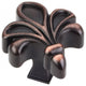Jeffrey Alexander 925ABSB Evangeline Cabinet Knob, Antique Brushed Satin Brass