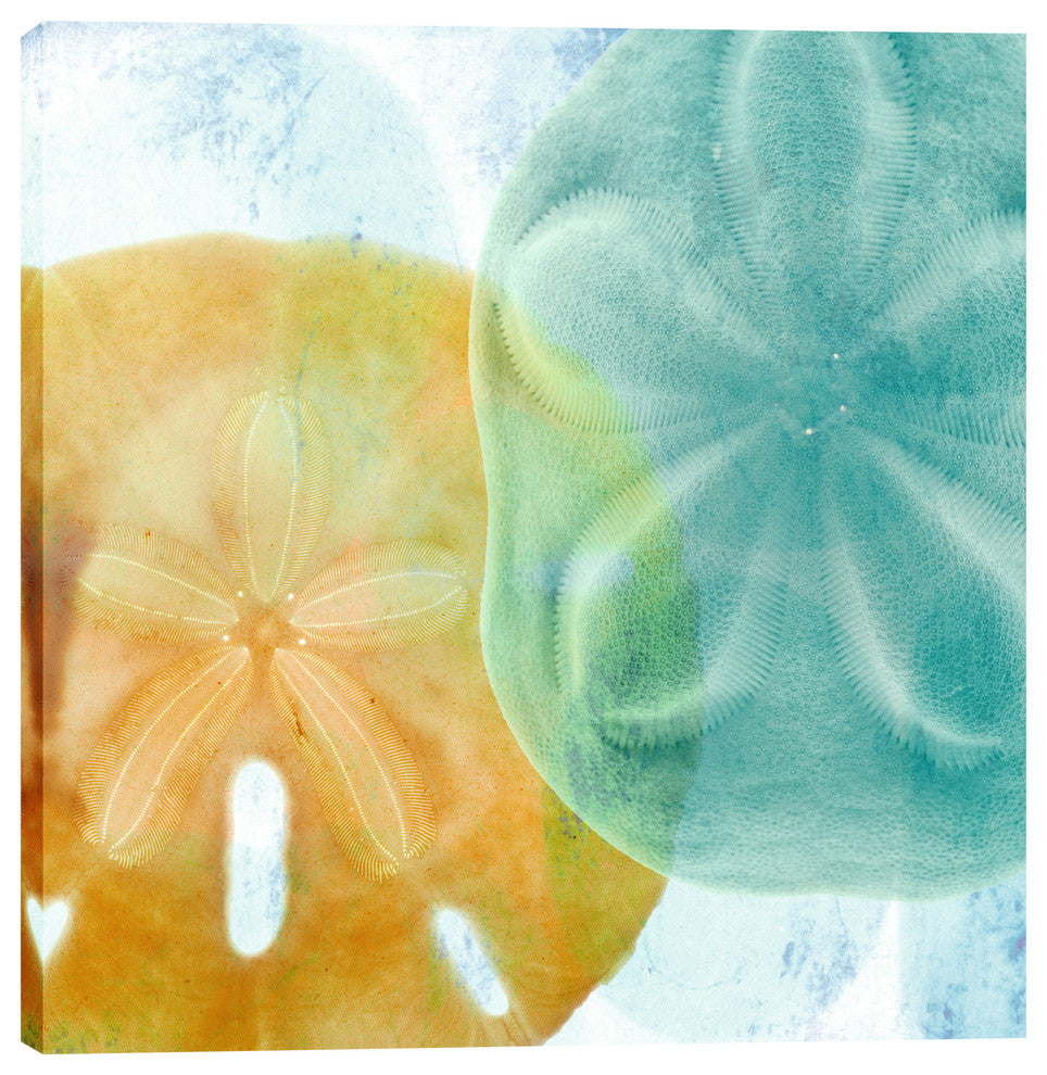 "Luminous Seashells" Giclee Canvas Wall Art, 18"x18"