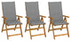 Vidaxl Folding Garden Chairs 3-Piece Set With Cushions Solid Acacia Wood