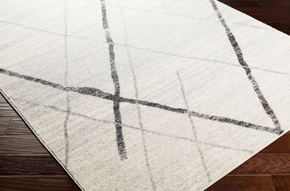 Elaziz Modern Gray, White Area Rug, 2'x3'