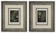 Original Vintage 1925 Botanical Fern Framed Prints, Set of 2