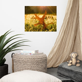 Fall Leaf in Morning Sun - Autumn Nature Photograph Unframed Wall Art Print, 16" X 20"