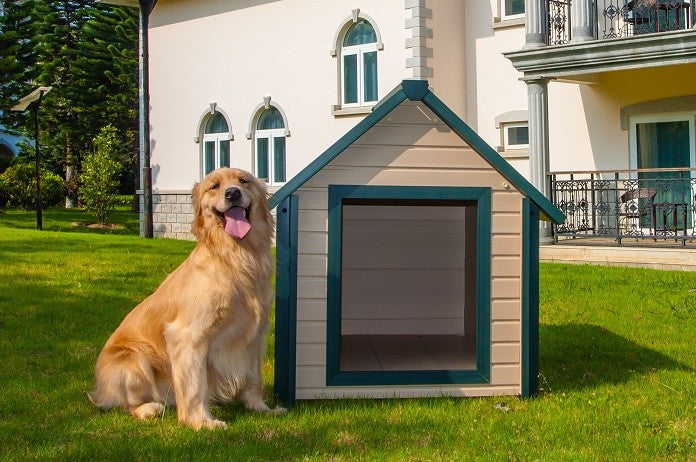 ECOFLEX Bunk Style Dog House, Large