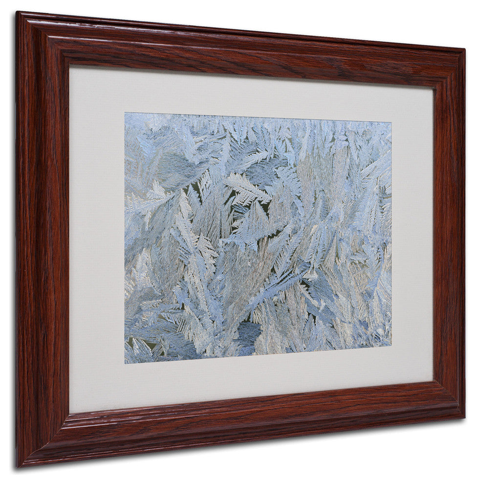 'Frost Pattern #6' Matted Framed Canvas Art by Kurt Shaffer
