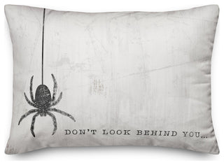 Look Behind You Spider 14x20 Throw Pillow