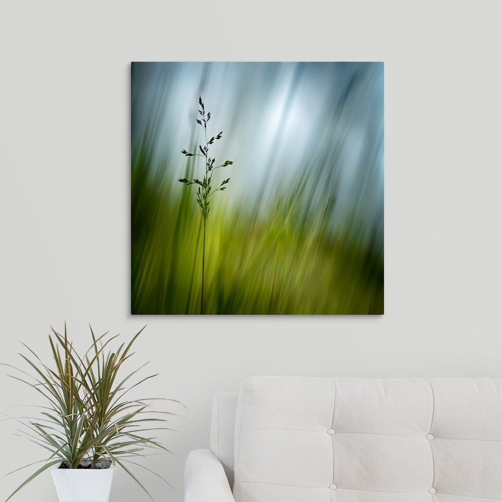 "Morning Grass" Wrapped Canvas Art Print, 24"x24"x1.5"