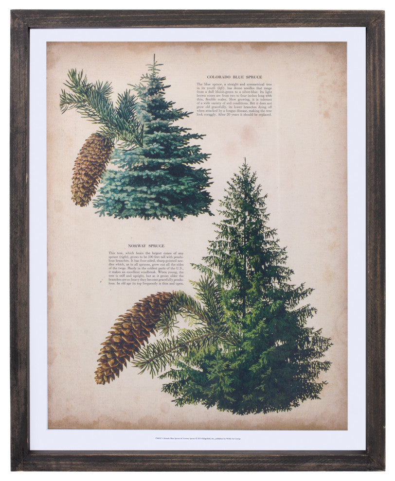 Framed Pine Print, 4-Piece Set