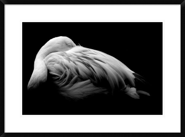 "Be Me" Framed Digital Print by Summer Ice, 32x24"