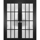 Interior French Double Frosted Glass Doors | Felicia 3312 Matte Black  -36x84