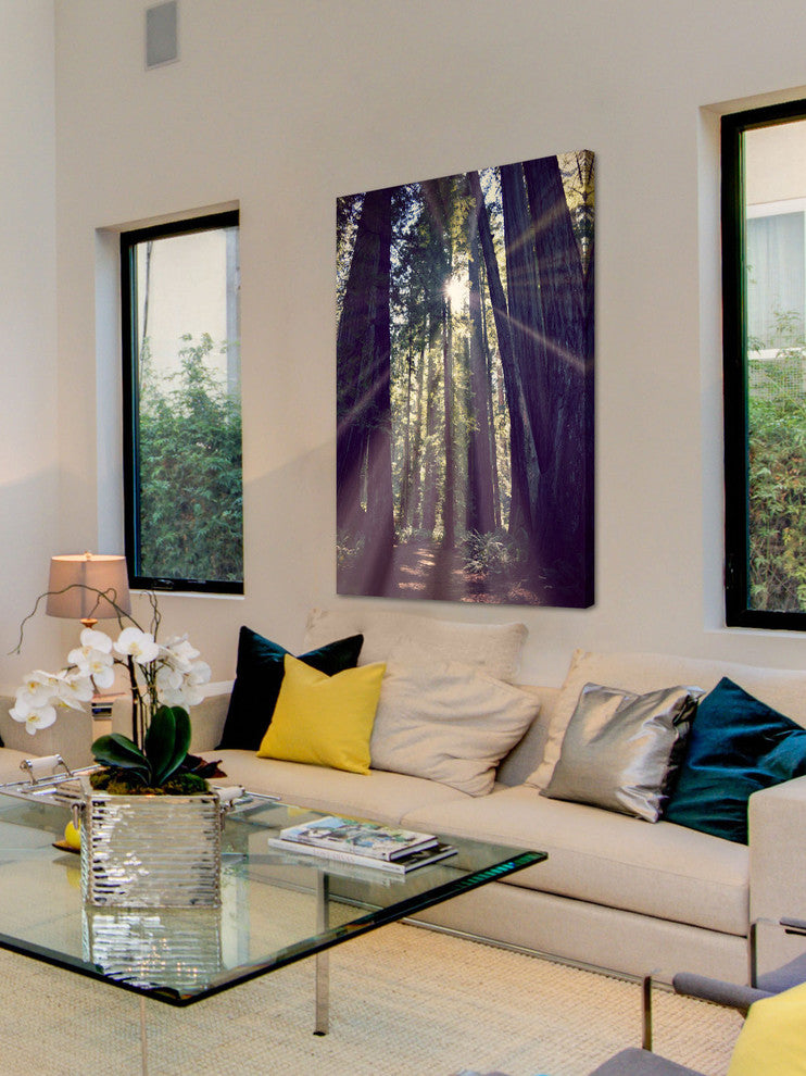 "Redwoods Hike" Painting Print on Wrapped Canvas