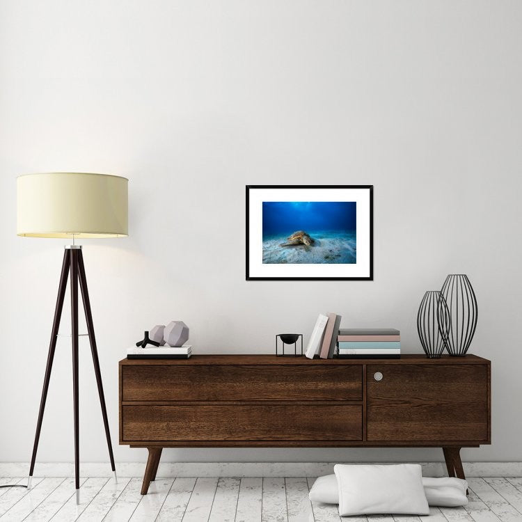 "Green Turtle In The Blue" Framed Digital Print by Barathieu Gabriel, 30x22"