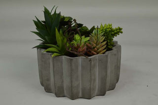 Studio shot on neutral gray background; product fully visible but background not white or lifestyle; no text.