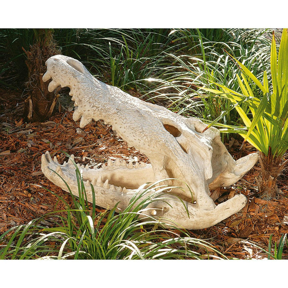 Crocodile Skull Sculptural Artifact