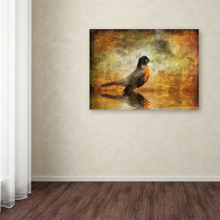 'The Robin' Canvas Art by Lois Bryan