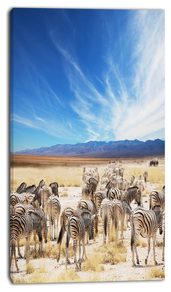 Herd of Zebras under Blue Sky, African Canvas Art Print, 16"x32"