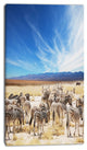 Herd of Zebras under Blue Sky, African Canvas Art Print, 16"x32"
