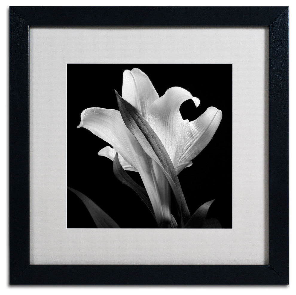 'Lily' Matted Framed Canvas Art by Michael Harrison