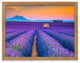 Blooming Lavender Field and Sunset Floral Landscape Framed Photo Wall Art Prints, Red Oak, 12" X 18"