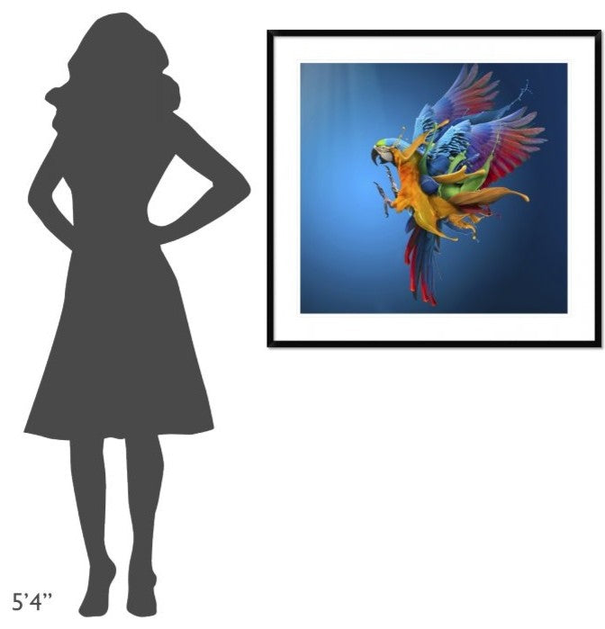 "Flying Colours" Framed Digital Print by Sulaiman Almawash, 38x36"