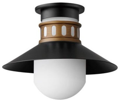 Maxim 35120 Admiralty 12"W Flush Mount Outdoor Ceiling Fixture - Black /
