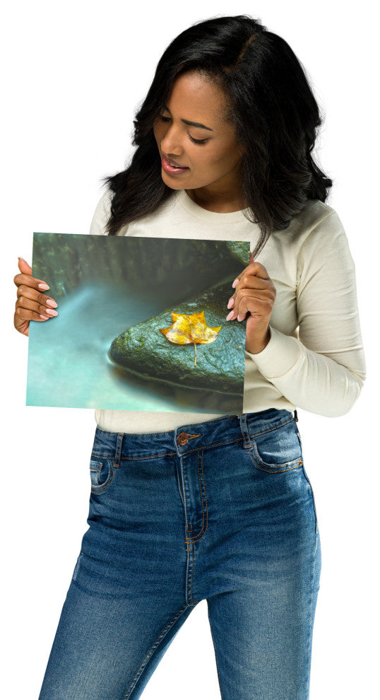 Misty Leaf Nature Photography, Botanical Unframed Wall Art Print, 8" X 10"
