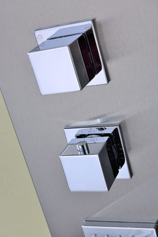 ANZZI Niagara 64 in. 2-Jetted Full Body Shower Panel in Brushed Steel