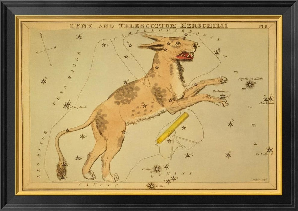 "Lynx and Telescopium Herschilii, 1825"  by Jehoshaphat Aspin, 34x24"