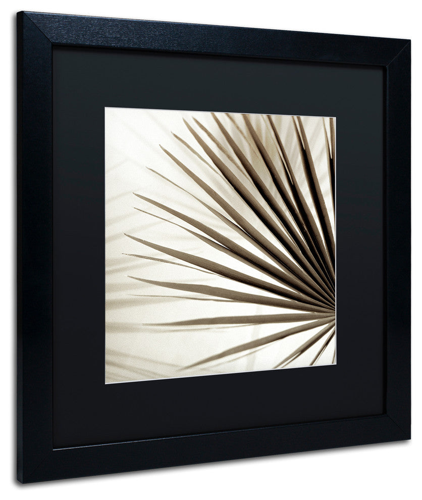 Alan Blaustein ''Florison 66'' Art, Black Frame, Black Mat, 16x16