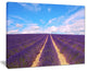 "Blooming Lavender Flower Field" Landscape Wall Art Print, 40"x30"