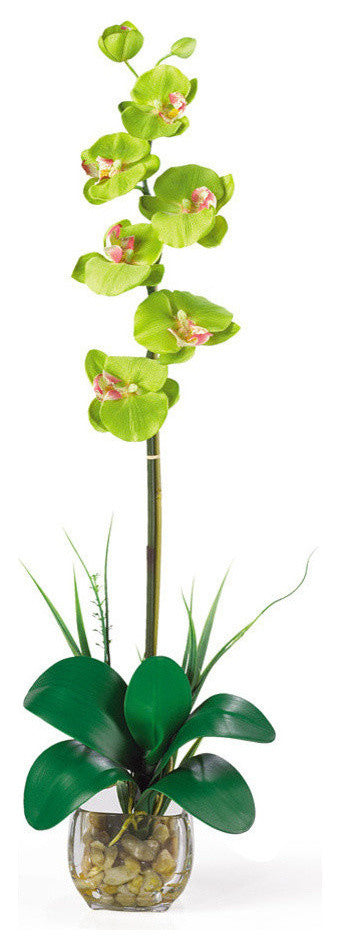 Single Phalaenopsis Liquid Illusion Silk Flower Arrangement, Green