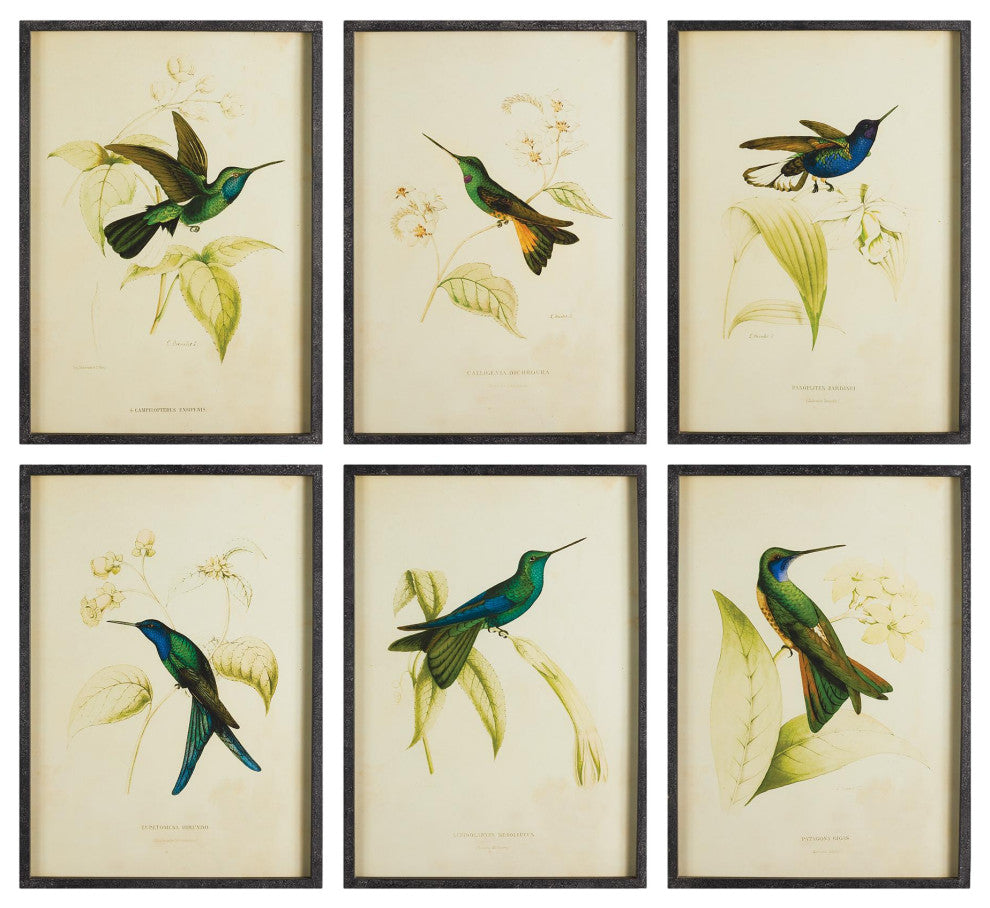 Set of 6 Vintage Style Hummingbird Prints Antique Look Blue Green Bird Botanical