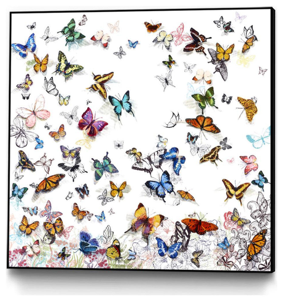 "Papillon" Framed Canvas by Giant Art 20"x20"