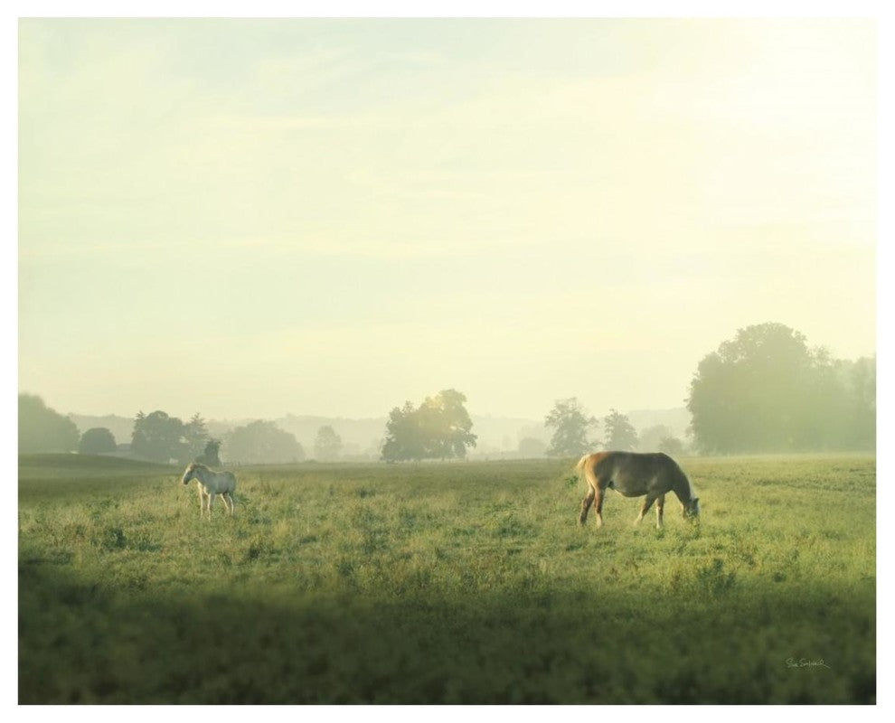 "Farm Morning I" Digital Paper Print by Sue Schlabach, 26"x22"